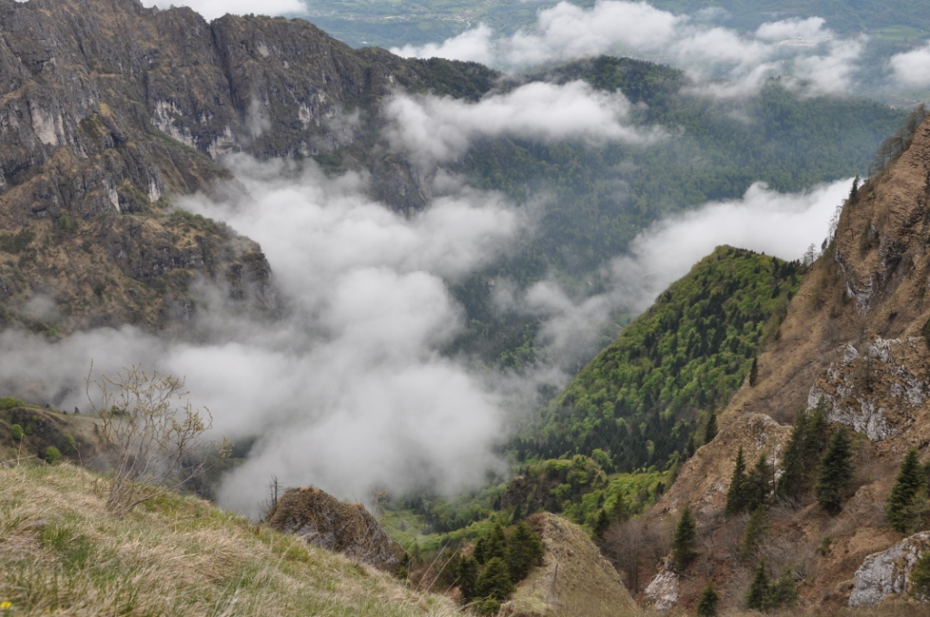 Parco delle Dolomiti Bellunesi